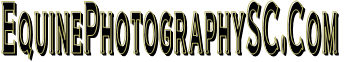 EquinePhotographySC.Com